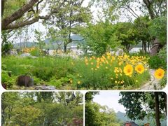 -南北湖风景区