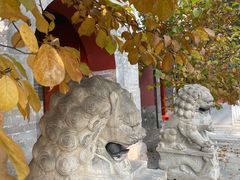-红螺寺