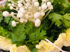 -重庆巴九门老火锅(阳朔店)