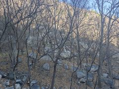 -北京鹫峰国家森林公园