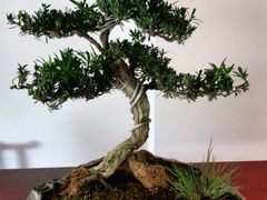 -金色艳阳天•粤菜 淮扬菜(古平岗店)