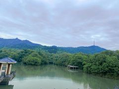 -敬亭山风景名胜区