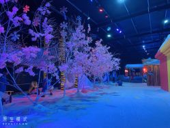 -圣名游乐城冰雪大世界