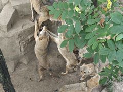 -哈尔滨北方森林动物园