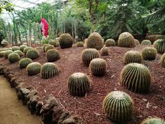 -呀路古热带植物园