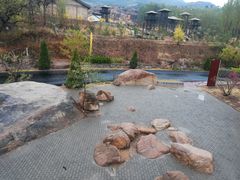 -黄金寨原生态旅游区
