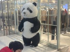 -眉州东坡·熊猫主题餐厅(枫蓝店)