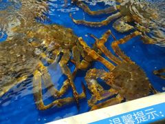 -盒马鲜生(大成店)