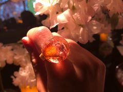 -地球美食剧场