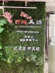 -西施无菌半永久纹绣眉眼影唇轻增发纹发际线
