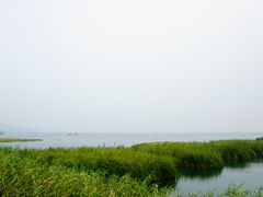 -太湖湖滨国家湿地公园-停车场