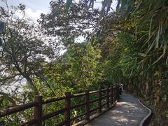 -羚羊峡古栈道森林公园