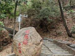 -大屏嶂森林公园