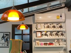-TrueLove @ Neverland (Husky Cafe)