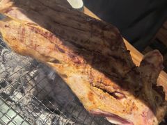 -柿子树炭烤羊腿(金台路店)