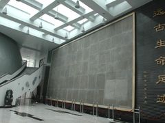 -中国地质大学逸夫博物馆