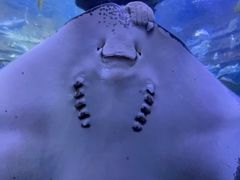 -北海海底世界