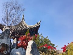 -朱家花园