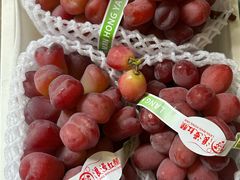 -马陆小张葡萄园农家乐