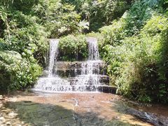 -蜀南竹海景区