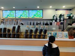 -雾与山茶(大禹城店)