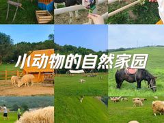 -三寰牧场
