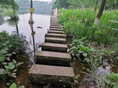 -重庆彩云湖湿地公园