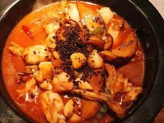 黑松露牛肝菌牛蛙锅-云海肴·汽锅鸡·云南菜(领展购物广场·中关村店)