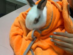 -嘉馨宠物医院·CT影像转诊·心脏科·犬猫全科诊疗中心(下沙大学城院区)