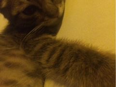 德福楼咖啡吧-德福楼咖啡吧(德福巷店)