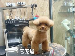 -仁普宠物诊所(住友昌盛新苑店)