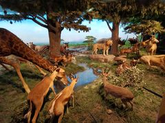 -国家自然博物馆