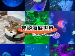 -海合安成都极地海洋公园