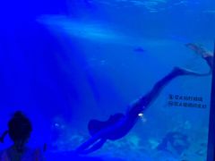 -常州海昌海洋探索馆