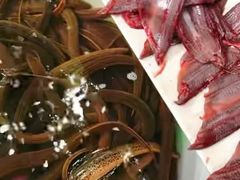 -铜元老码头鳝鱼火锅