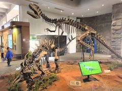 -自贡恐龙博物馆