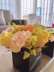-英芬国际月子中心(岛屿度假月子·洲至奢选香岚店)