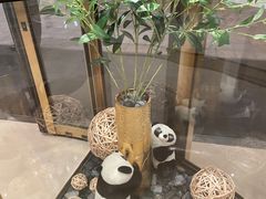 -厦门喜来登酒店