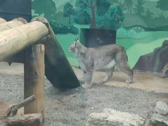 -昆明动物园