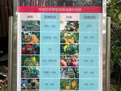 -呀路古热带植物园