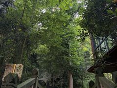 -凤栖山