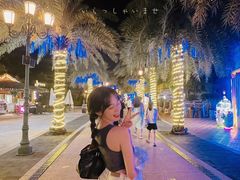 -三亚海昌梦幻海洋不夜城