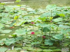 照片 047-北戴河集发农业梦想王国