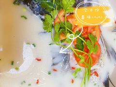 -全乐鱼馆·淳牌有机鱼直营店