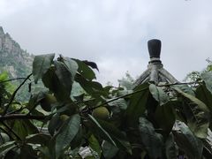 -佛慧山