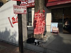 -72 COFFEE(东朝阳路店)