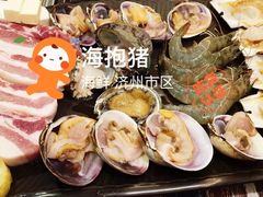 -海抱猪