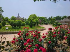 -武汉紫薇都市田园