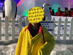 -世界之窗阿尔卑斯冰雪世界