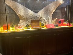 -半岛翡丽海鲜自助餐厅(观风亭店)